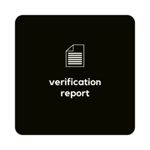 Verification Report